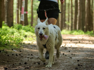 EDR Dog Biatlon 2025