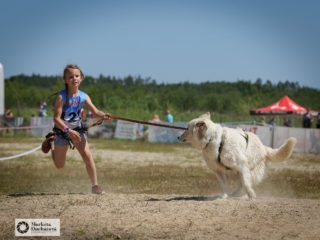 EDR Dog Biatlon 2025