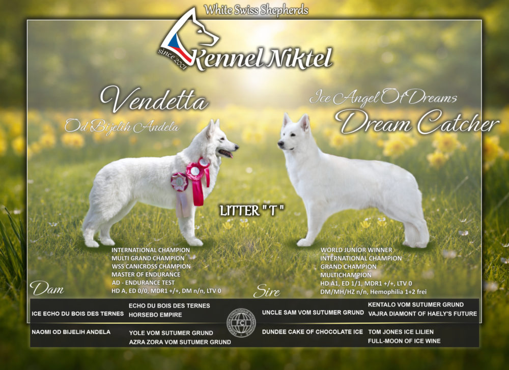 Planning Litter “T”